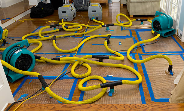 Professional Basement Flood Cleanup technician working in Avera, GA